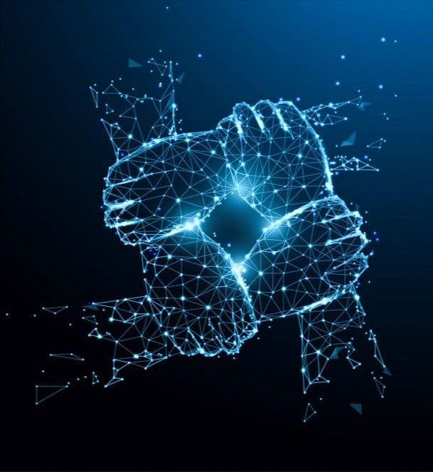 Go-Live & Hypercare Support